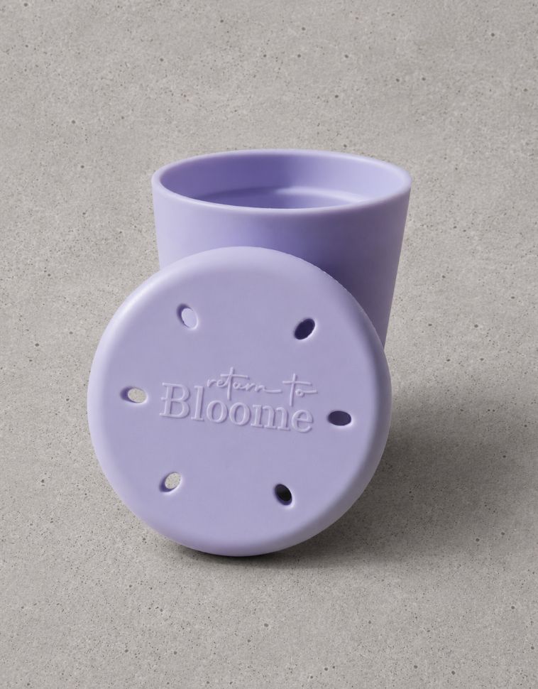 Bloome Case 02